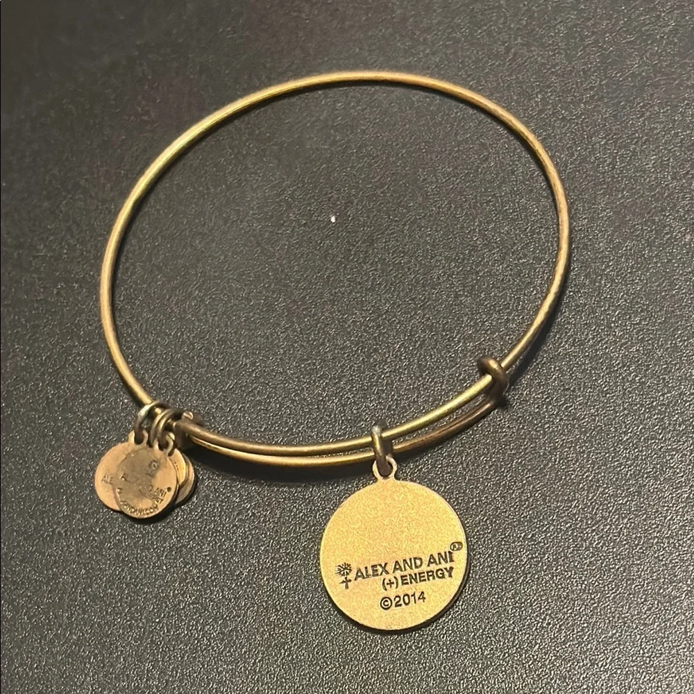 Alex and Ani this alex